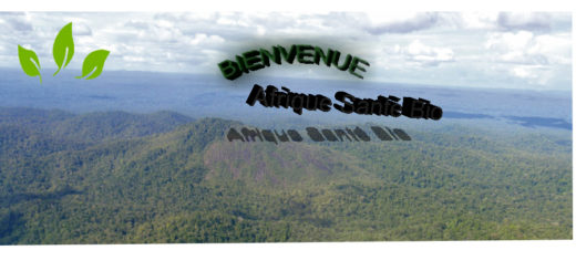 Bienvenue