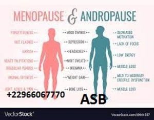 Andropause