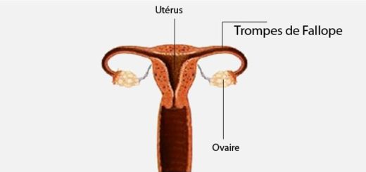 Recettes Naturelles Fibrome Utérin Guérir Fibrome Assécher Fibrome