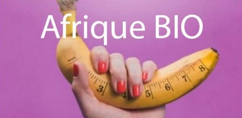 Comment agrandir son pénis : Plus de 10 Solutions pour Développer le Pénis