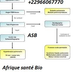 Traitement Naturel Hypoxémie