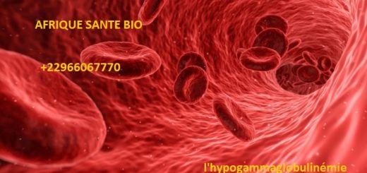 l'hypogammaglobulinémie