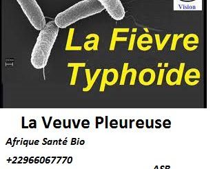 La Veuve Pleureuse: Comment Soigner la Fièvre Typhoïde Traditionnellement?