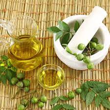Les vertus et Bienfaits de neem