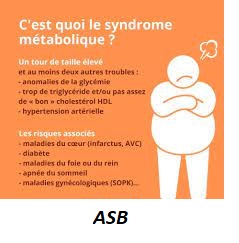 Le syndrome métabolique